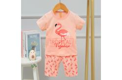 China Flamingo Korean Air Conditioned Suits Code Number 55-110 With Impact Colour supplier