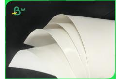 China Greaseproof 300gsm + 15g 70 * 100cm PE Coated Paper For Hamburger Boxes supplier