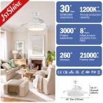 Invisible Retractable Blade Ceiling Fan Low Watt DC 220V Remote Control Modern Design