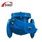 Flanged Cast Iron Swing Check Valve Customized For Liquefied Gas