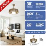6 Speed Dc Motor Bladeless LED Ceiling Fan Low Power Consumption