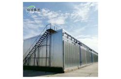 China Intelligent Temperature Control for Sustainable and Environmentally Friendly Wood Drying supplier