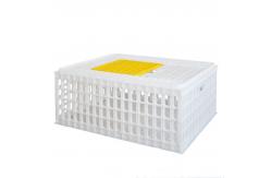 China Farming PP Poultry Carrier Crate Chicken Transport supplier