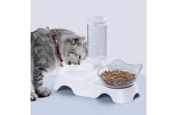 China Plastic Dog Pets Double Cat Food Bowls With Automatic Waterer Bottle supplier