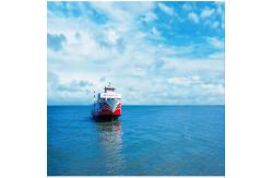 China International Sea Freight Forwarding DDP From China To India supplier