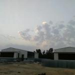 Pre Engineered Livestock Farm House Chicken Steel Structure Warehouse for sale