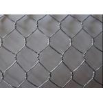 Green 20 Ga Metal Wire Mesh Decorative Hexagonal Wire Netting PVC Coated for sale