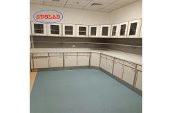 China Adjustable Glass Shelf Lab Workbenches with Drawers - Ideal Reagent Rack Solution supplier