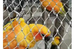 China 2.0mm Aviary Wire Netting , Ferruled Parrot Aviary Mesh supplier