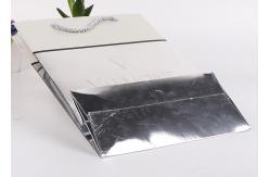 China Custom Printed Glossy Silver Paper Carrier Bags With Embossed Logo Suppliers supplier