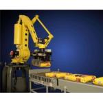 WLMD-J Automatic 2020 New Product Automatic Robot Palletizing Machine