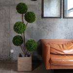 180cm Doorway Artificial Potted Floor Plants Anti Fading Indoor Green Boxwood for sale