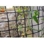 HDPE Garden Climbing Plant Support Netting , Garden Mesh Netting , Garden Plastic Mesh Fencing , Black Color for sale