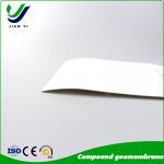 China Multi-Functional HDPE Composite Geomembrane for Reinforcement & Anti-Seepage in Civil Engineering for sale