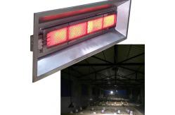 China Catalytic Ceramic Infrared Heater 3000 - 5000pa Brooder Heater For Chicks supplier