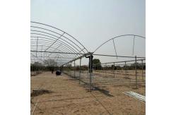 China Namibia Africa Gutter Connected Greenhouse with Optimal Ventilation and Single Layer supplier