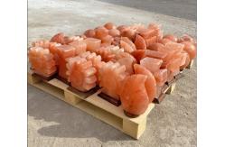 China OEM Carved Himalayan Salt Lamp With Solid Wooden Base supplier
