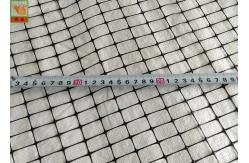China PP Support Industrial Plastic Netting , Black Plastic Mesh Barrier Fence Netting supplier