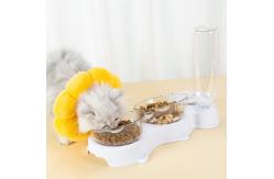 China Best Feeding Bowls For Cats Automatic Cat Feeder Microchip supplier