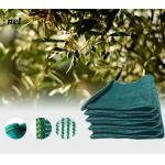 Hot Selling Olive Net Greek Markets Triangular Mesh Surface Plastic Net Green HDPE Orchard Olive Harvest Net for sale