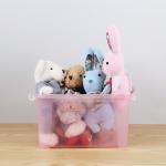 5L 15L Yards Clear Car Plastic Organizer Box With Handle