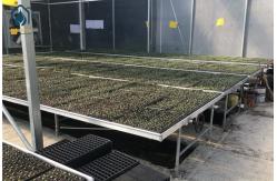 China Greenhouse Moveable Mesh Seed Bench Rolling Nursery Seedbed With Aluminum Alloy Frame supplier