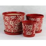 Unique Ceramic Pots For Distinctive And Eye-catching Plant Collection