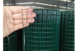 China Green 2x2 Pvc Coated Welded Wire Mesh Machinery Guard And Tomato Cages supplier