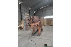 China Jurassic Park Animatronic Triceratops Model 5m supplier