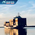 FCL LCL Freight Forwarder China To Europe , international freight transport DDU for sale