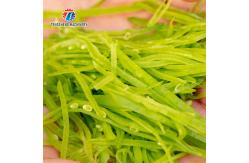 China 2.25kw 1000kg/h Vegetable Cutter Potato Slicer Machine supplier