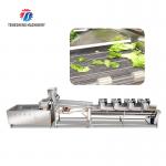 Silver Fruit And Vegetable Processing Line for Processing of Vegetables for sale