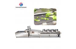 China Silver Fruit And Vegetable Processing Line for Processing of Vegetables supplier