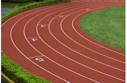 China PU Spray Coated EPDM Granule 13mm Jogging Track Material Eco-Friendly supplier