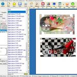 Daqin Custom CE Sticker Cutting Plotter Machine Skin Making Software for sale