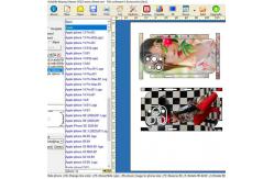China Daqin Custom CE Sticker Cutting Plotter Machine Skin Making Software supplier