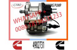 China Neutral Fuel Diesel Injection Pump 2872930 3977327 4902731 For Cummins ISLE Engine supplier