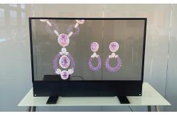 China Durable Smart Transparent OLED Monitor For Medical Imaging Multipurpose supplier