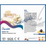Cheese Process Cheese Production Equipment With Mozzarella Cheese Making Machine
