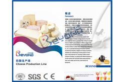 China Cheese Process Cheese Production Equipment With Mozzarella Cheese Making Machine supplier
