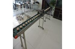 China Poultry Agriculture Egg Marking Equipment , Batch Code Printing Machine For Eggs supplier