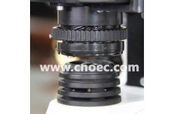 China Lab Student Achromatic Binocular Compound Microscope With LED Light supplier