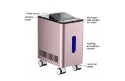 China Enhance Metabolism Hydrogen Inhalation Therapy Machine Movable WEIZI supplier