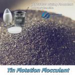 Mining Flocculant Powder Anionic Polyacrylamide High Viscosity Polyacrylamide for sale