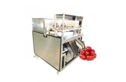 China Seed Removing 84000pcs/H Date Olive Pitting Machine supplier