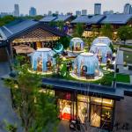 Customized Glamping Polycarbonate Bubble Dome Tent Transparent Camping Tent for sale