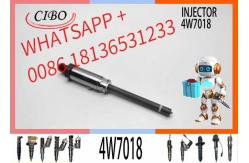 China Black 4W-7018 4W-7015 4W7018  Fuel Injectors Valve supplier