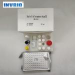 High Sensitive CEA Elisa Kit Detection Human Carcinoembryonic Antigen for sale
