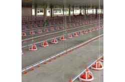 China Dia 45mm Galvanized Chicken Nipple Drinker System supplier