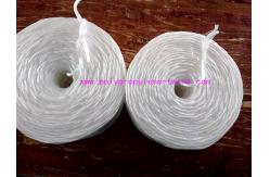 China Raw White Polypropylene Twine Packing Rope Lt021 Diameter 1mm - 6mm supplier